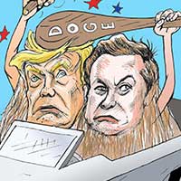 Mostrar el cartón