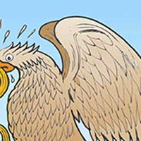 Mostrar el cartón