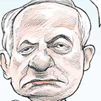Mostrar el cartón