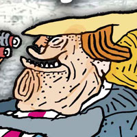 Mostrar el cartón