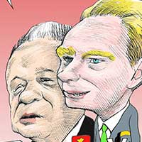 Mostrar el cartón