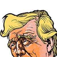 Mostrar el cartón