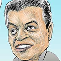Mostrar el cartón