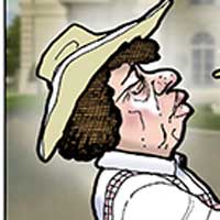 Mostrar el cartón