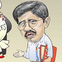 Mostrar el cartón