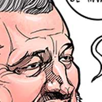 Mostrar el cartón