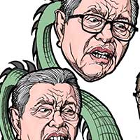 Mostrar el cartón