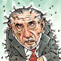 Mostrar el cartón