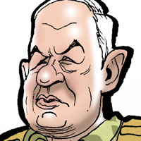 Mostrar el cartón