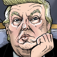 Mostrar el cartón