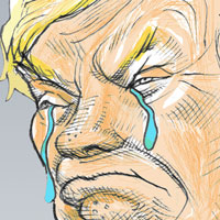 Mostrar el cartón