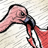 Mostrar el cartón