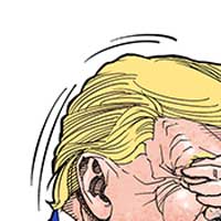 Mostrar el cartón